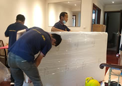 Ȫ�ݰ�ҹ���